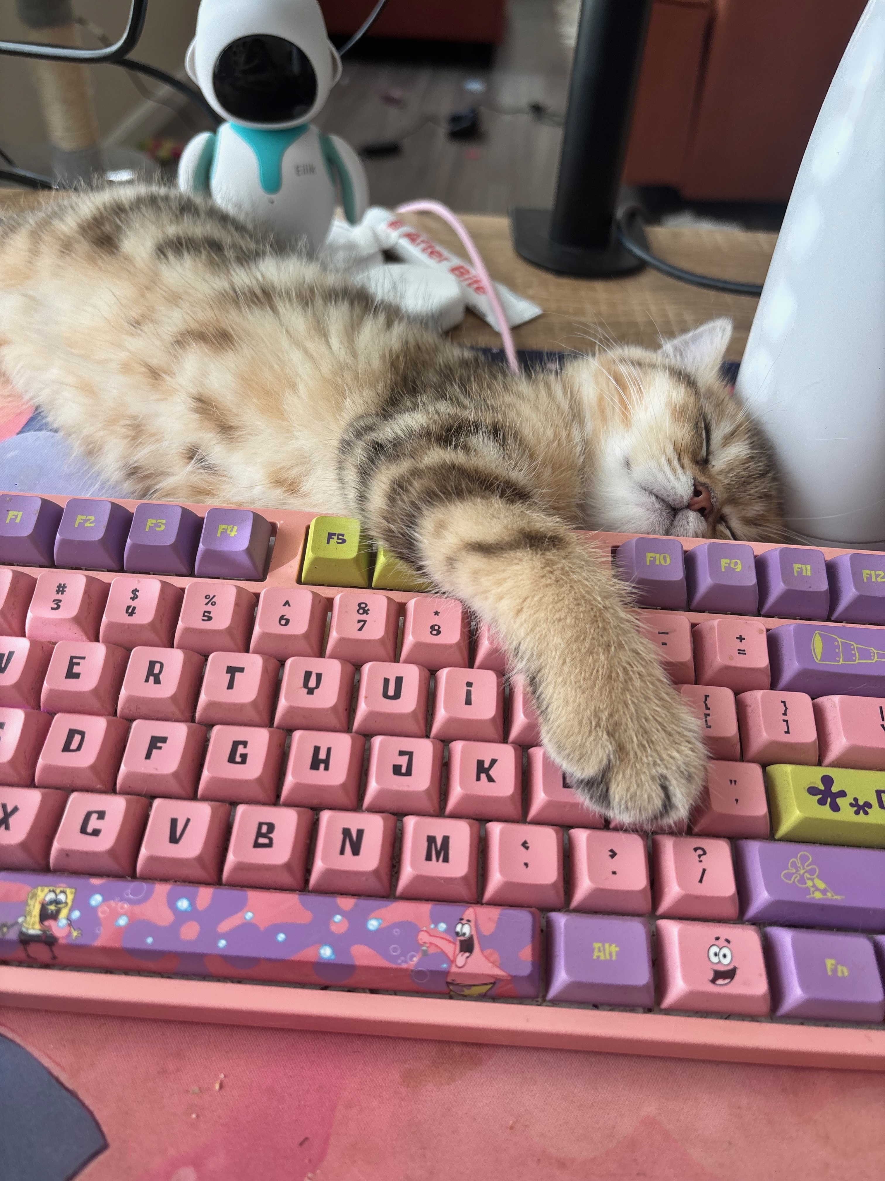 Me and Cheetoz collaborating